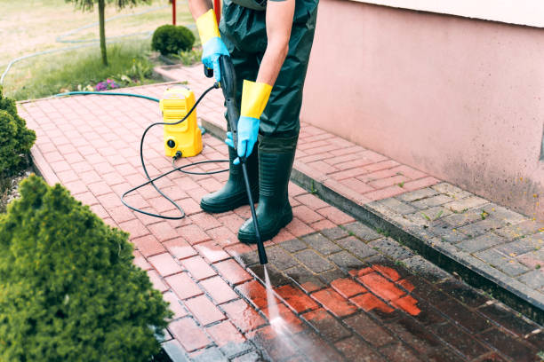 Trusted Glenmora, LA Pressure Washing Experts